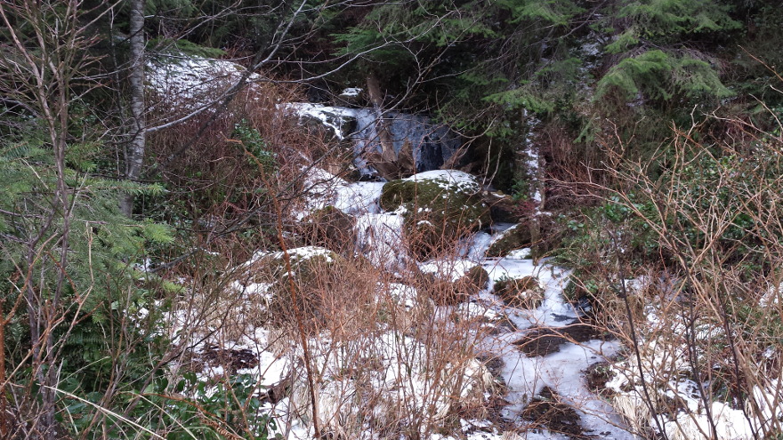 Stream